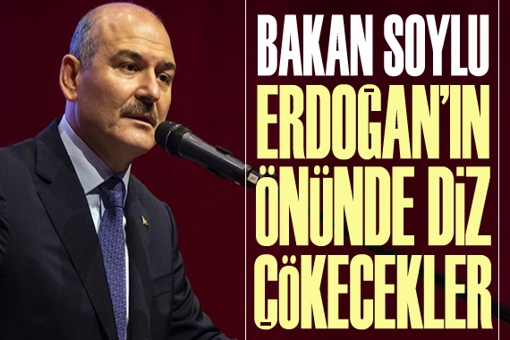 Bakan Soylu: Erdoğan ın önünde diz çökecekler