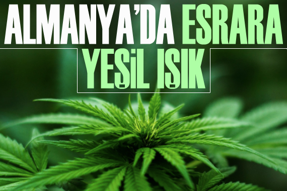 Almanya da esrara yeşil ışık yakan düzenleme yolda!