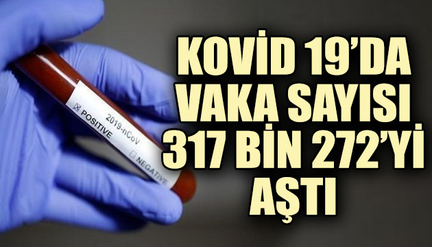 Kovid 19 da vaka sayısı 317 bin 272 yi aştı