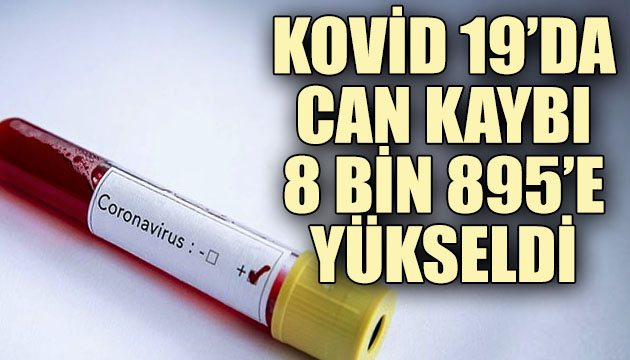 Kovid 19 da can kaybı 8 bin 895’e yükseldi