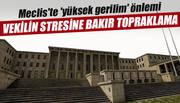 Vekillerin stresini azaltmak için Meclis te  yüksek gerilim  önlemi