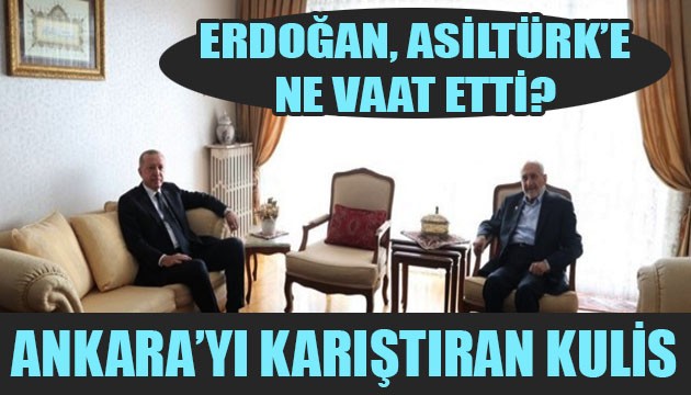 Erdoğan, Asiltürk'e ne vaat etti? Ankara'yı karıştıran kulis