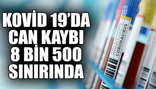 Kovid 19 da can kaybı 8 bin 500 sınırında