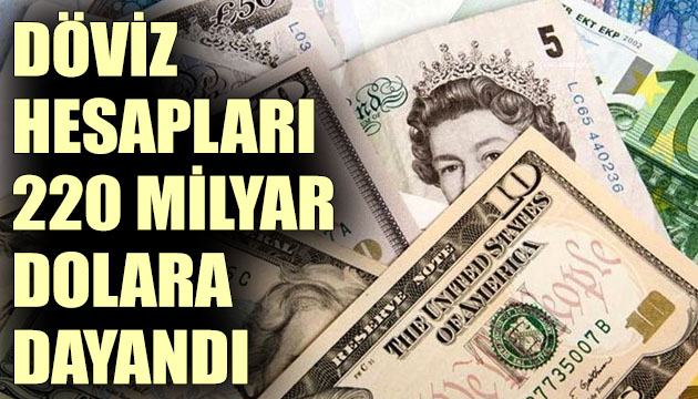 Döviz hesapları 220 milyar dolara dayandı!