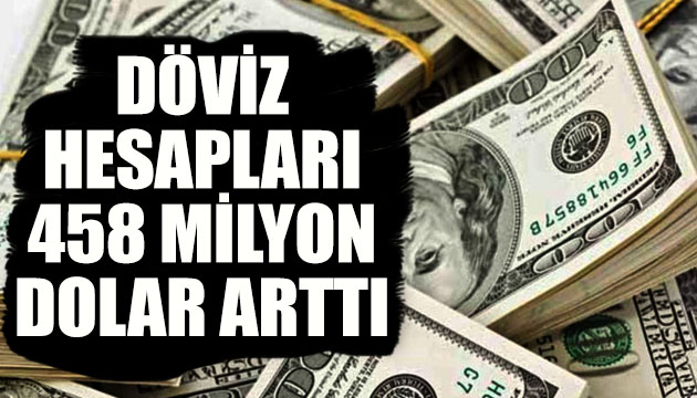 Vatandaşın döviz hesapları 458 milyon dolar daha arttı