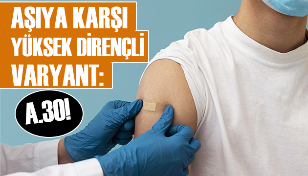 Aşıya karşı yüksek dirençli varyant!