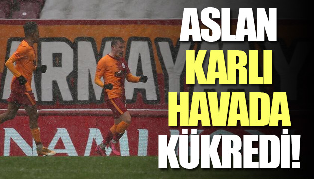 Aslan karlı havada kükredi