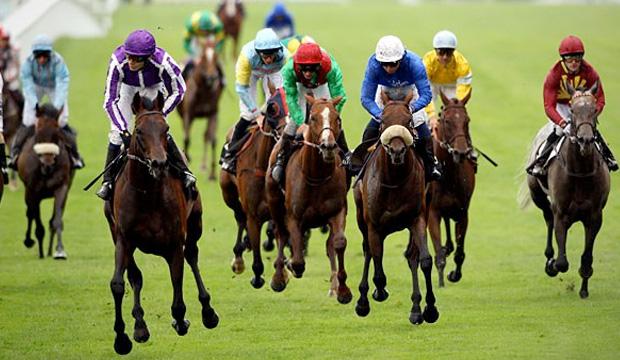 At yarışı gelirleri, Türkiye Varlık Fonu na aktarılacak