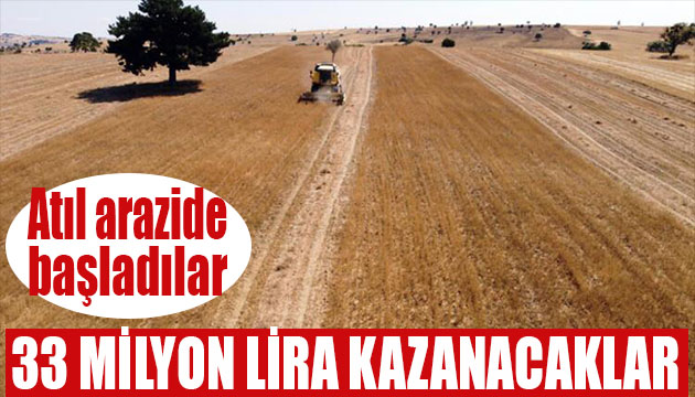 Atıl arazileri dönüştürdüler! Yüzleri güldürdü, kilosu 25 lira...