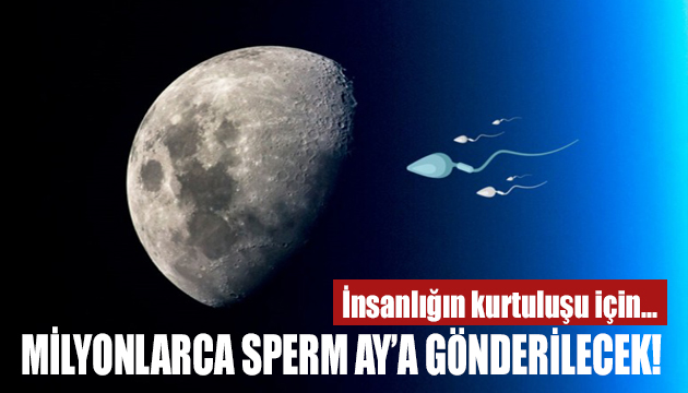 Milyonlarca sperm Ay a gönderilecek!