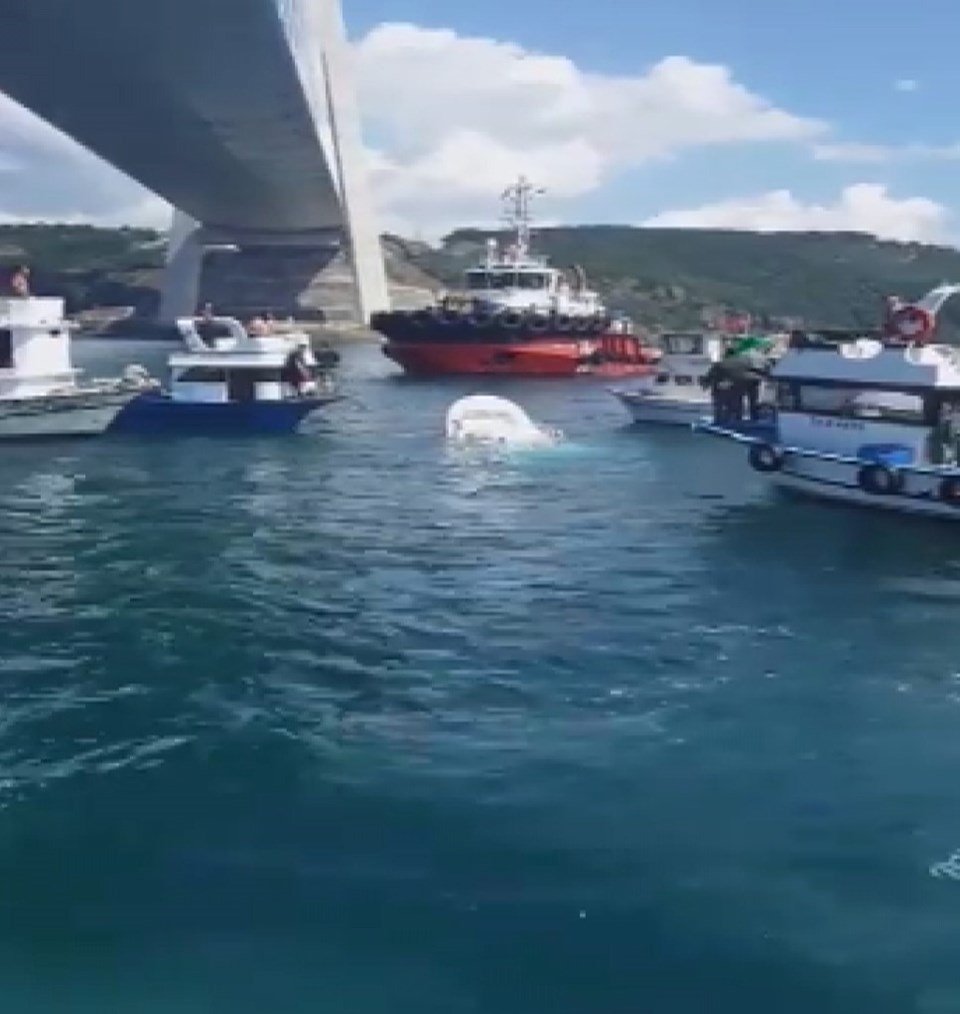 İstanbul da bir gemi balıkçı teknesine çarptı