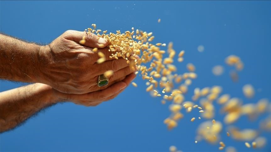Küresel gıda fiyatları Mayıs ayında geriledi
