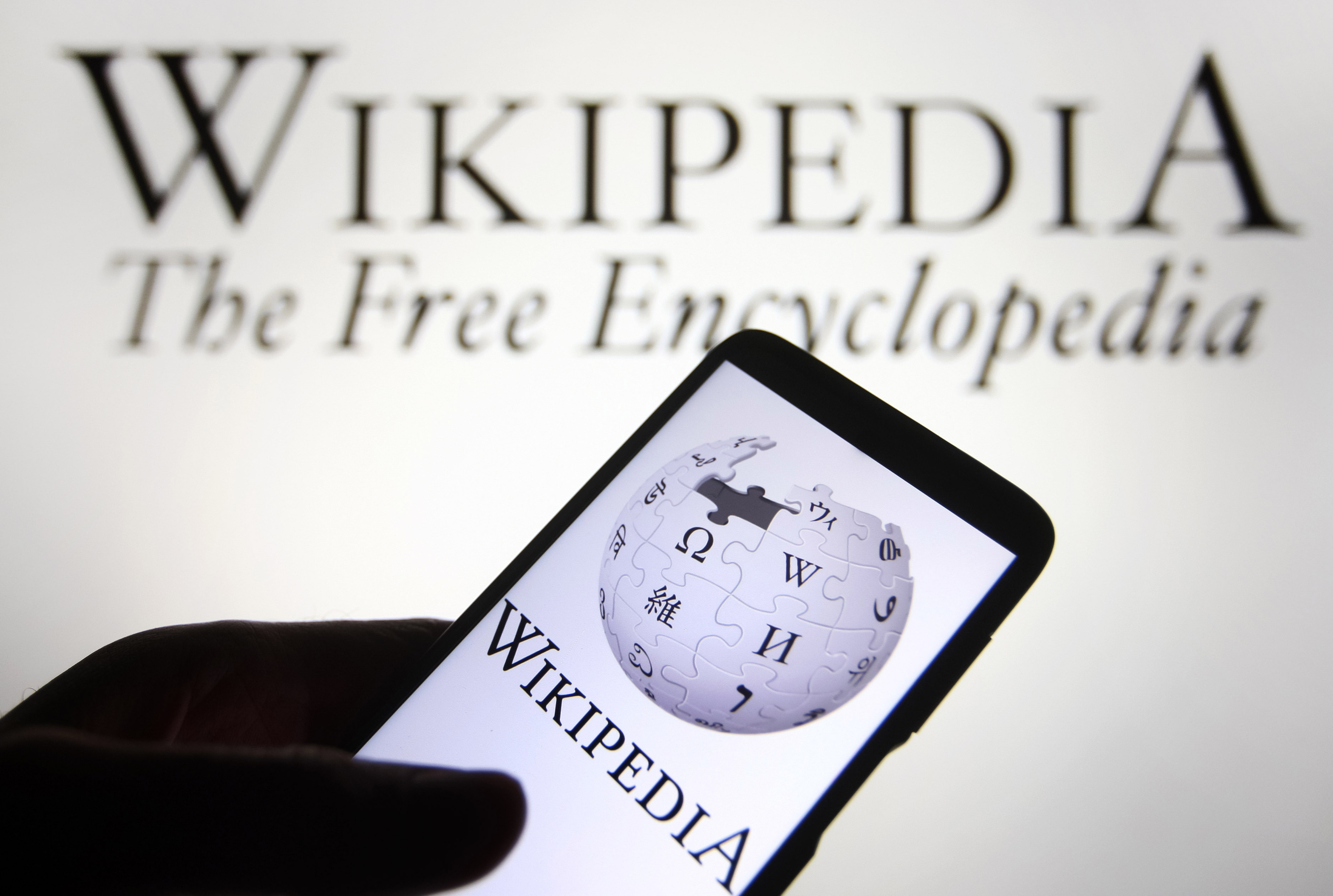 Bir ülkeden daha Wikipedia ya yasak!