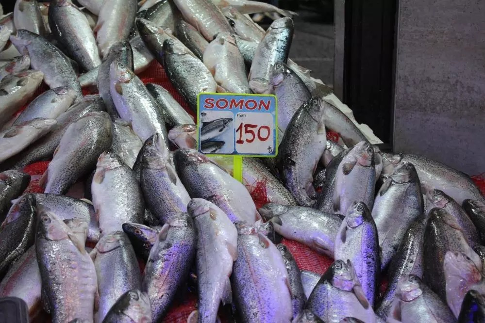 Hamsi bolluğu fiyatları düşürdü