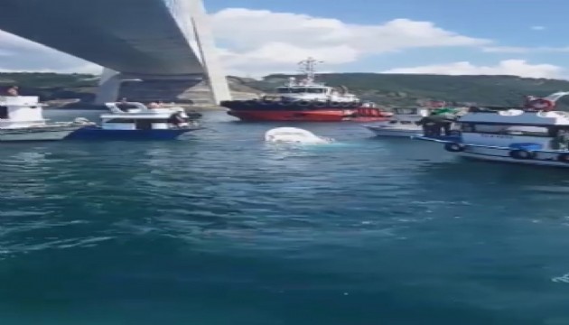 İstanbul'da bir gemi balıkçı teknesine çarptı