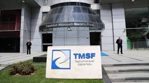 TMSF o şirketi satışa çıkardı