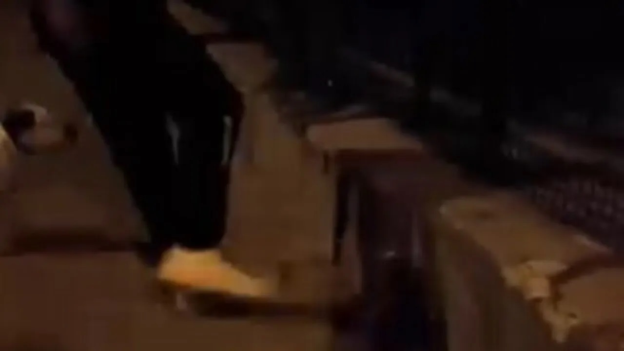 Kediye tekme atan kişi gözaltına alındı