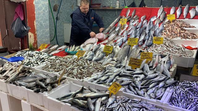 Havalar soğudu, bolluk balık tezgahlarına da yansıdı