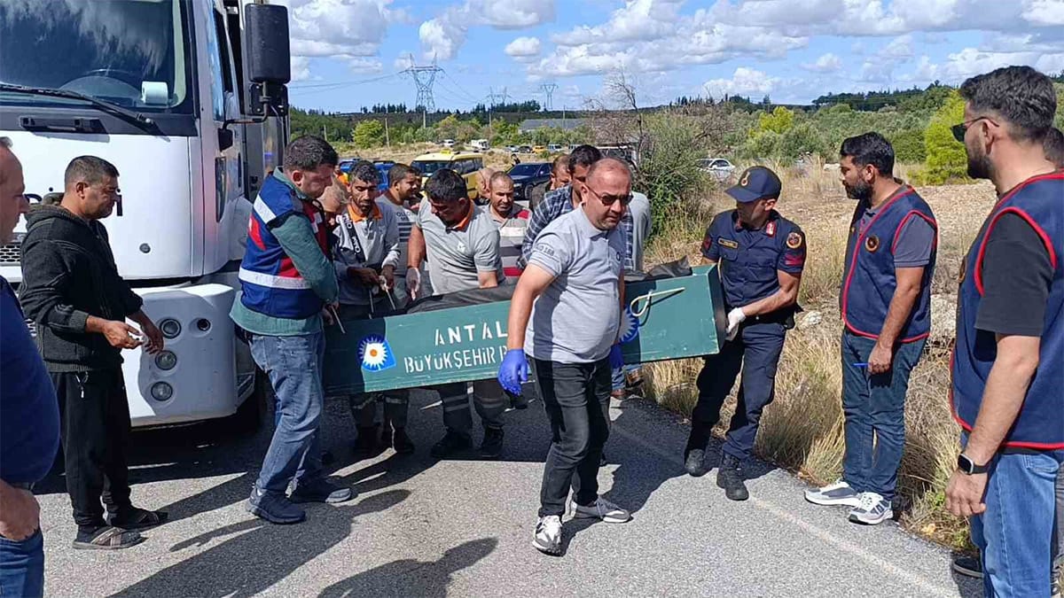 Antalya da çöp kamyonunda korkunç cinayet