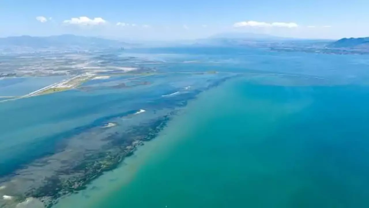 Akdeniz için tehlike uyarısı