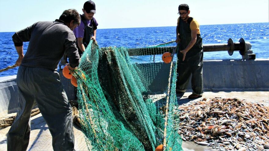 Balık fiyatları tezgaha ulaşana kadar uçuyor