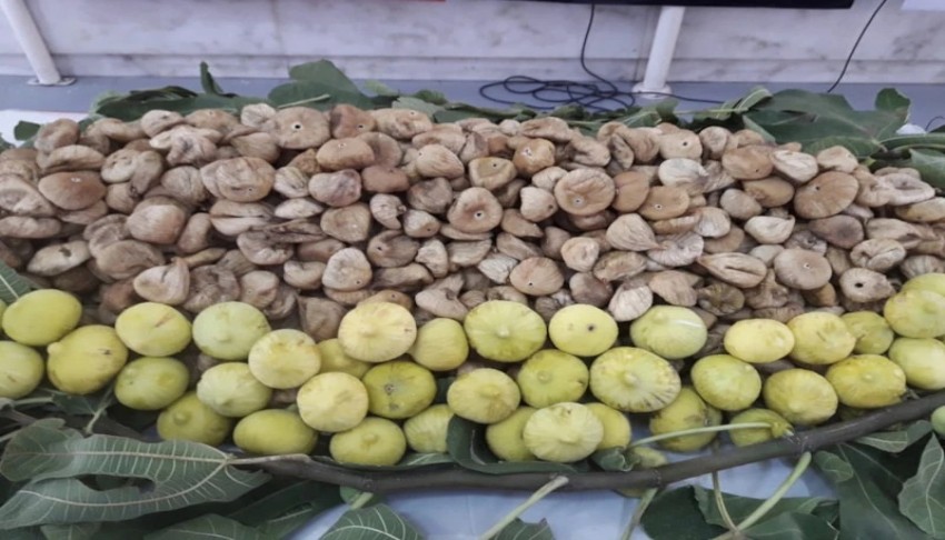 En fazla kuru incir ABD'ye gidiyor