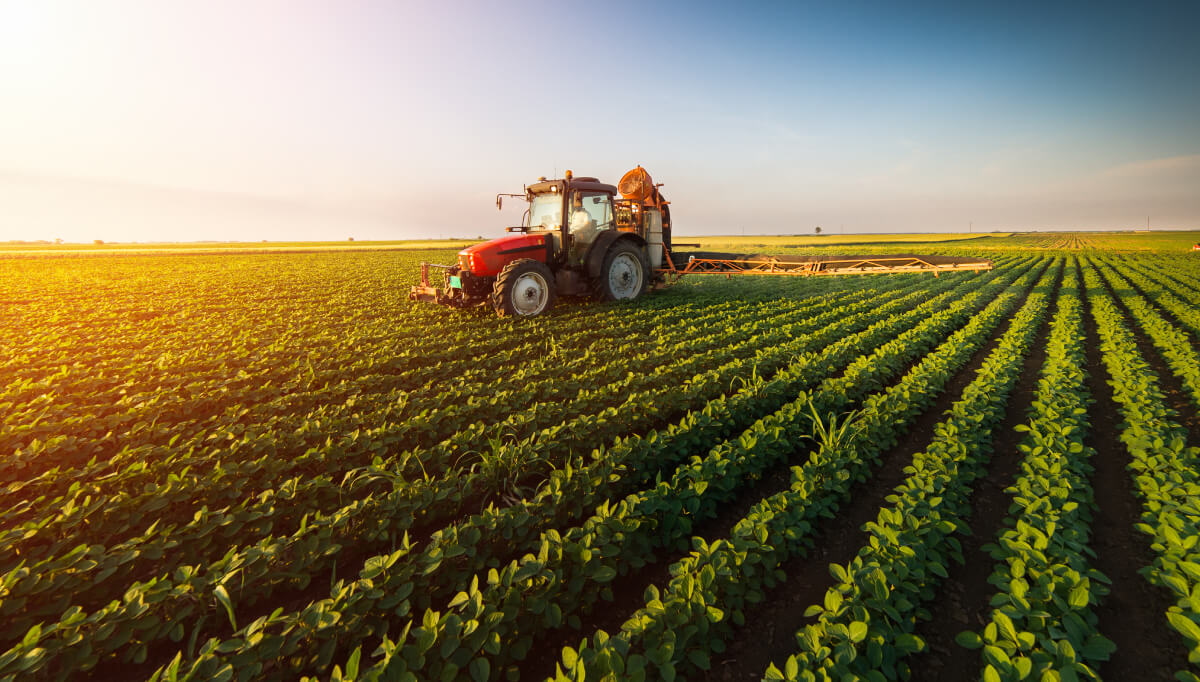 Tarım maliyetlerinde rekor: Yüzde 241 arttı
