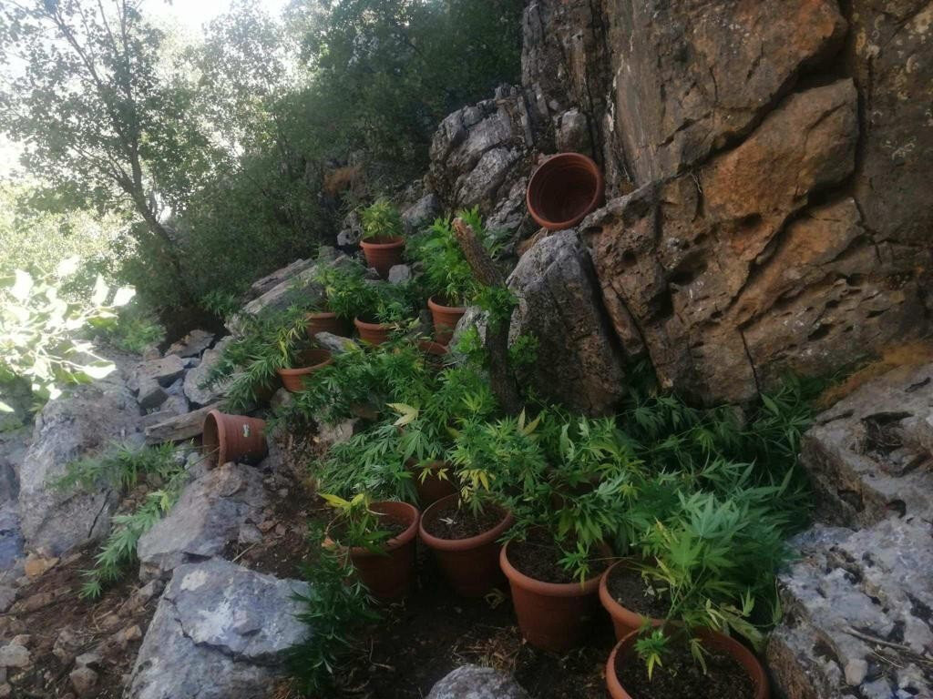 PKK nın finans ağına darbe!