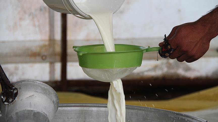 Süt üretimi yüzde 6,1 azaldı
