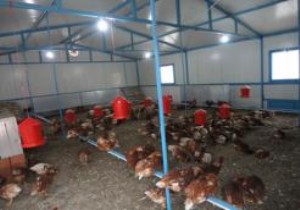 Belediyeden köylüye kalkınma desteği!