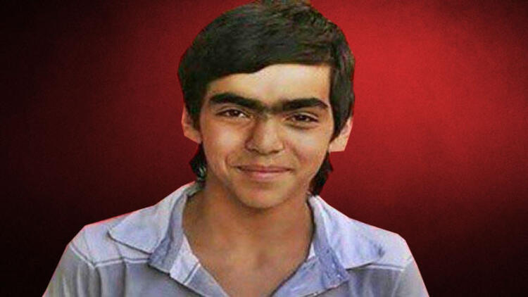 AYM den Berkin Elvan kararı!