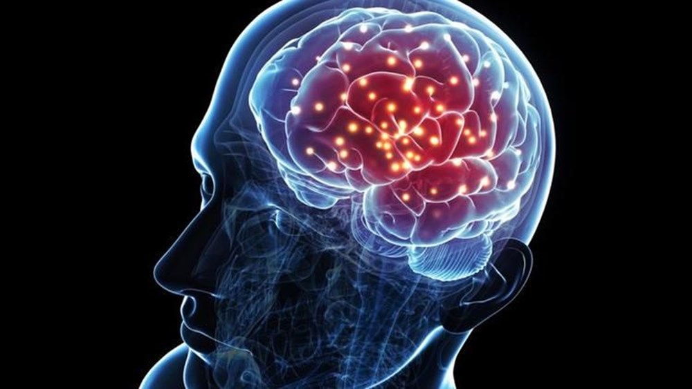 Bilim insanları  beyindeki alarmı  inceledi