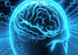 Beyin Alzheimer’ın Verdiği Zarara Karşı Direniyor!