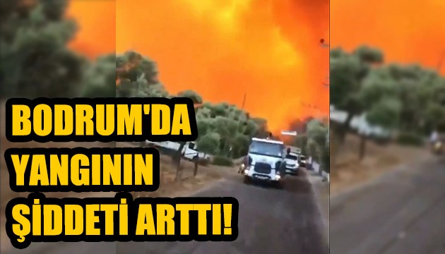 BODRUM'DA YANGININ ŞİDDETİ ARTTI!