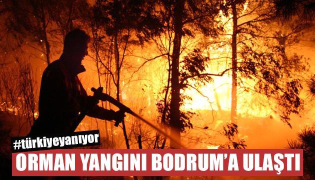 Milas taki orman yangını Bodrum a ulaştı