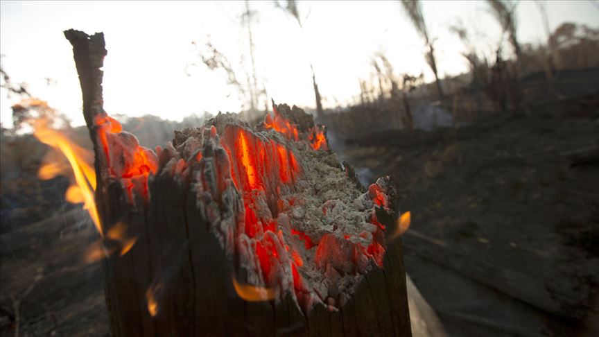 Bolivya da yangın: 950 bin hektar alan zarar gördü