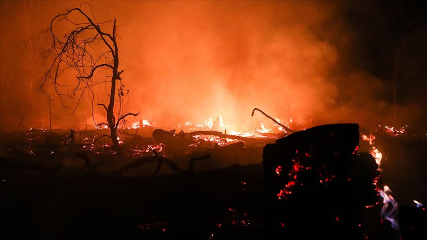 Bolivya daki yangın 2 milyon hektar alanı kül etti