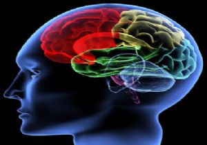 Beyin Taramasıyla Disleksiye Erken Teşhis