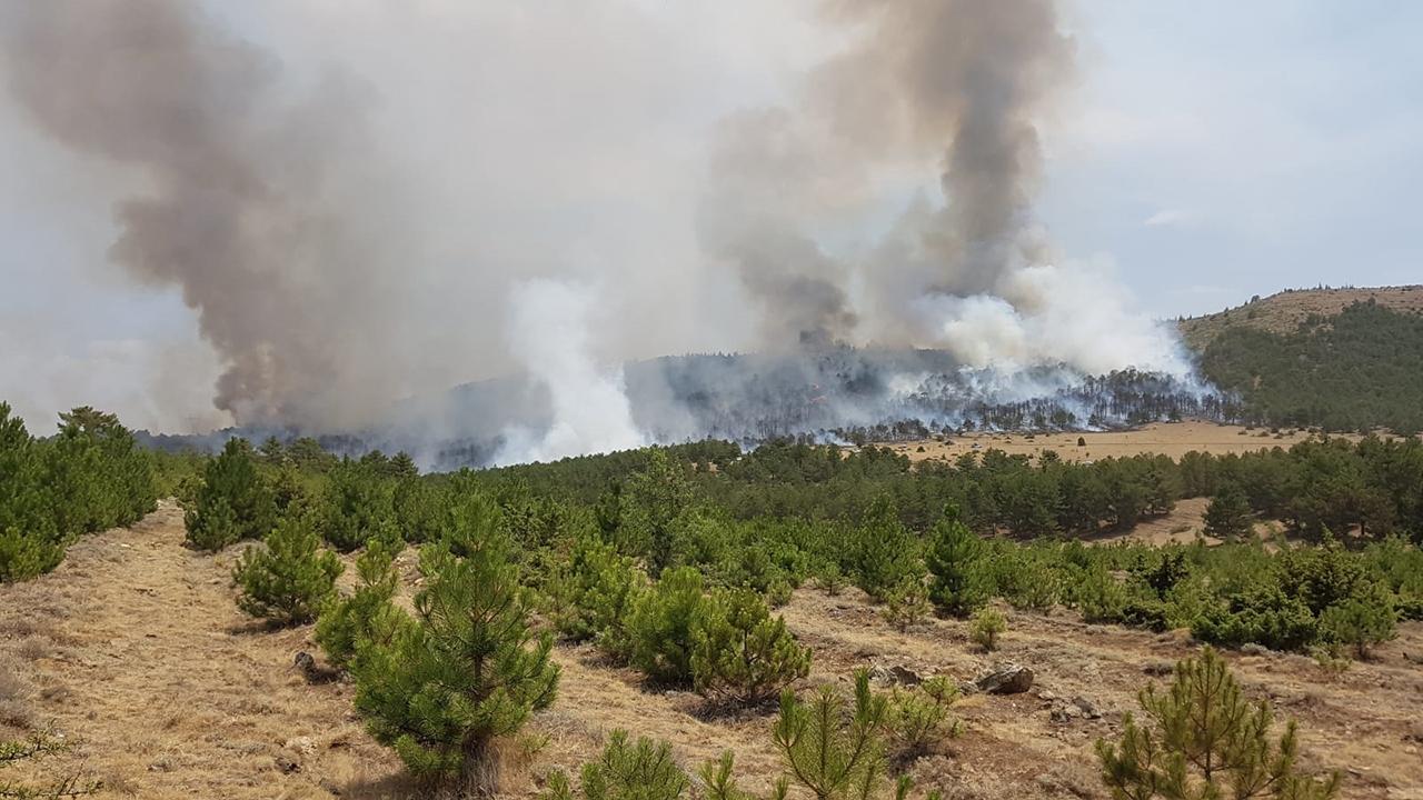 Burdur da orman yangını çıktı