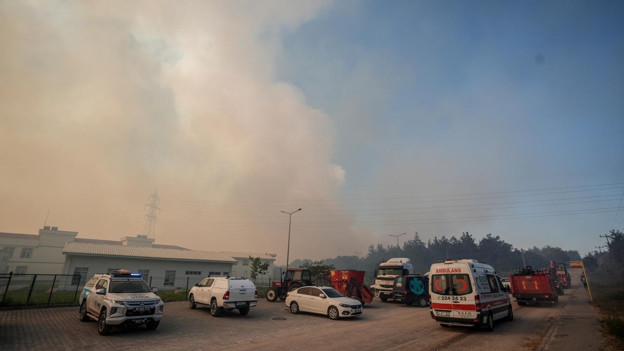 Bursa da makilik alanda çıkan yangın ormana sıçradı