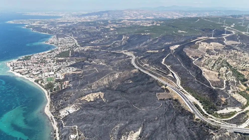 Çanakkale deki yangında acı tablo