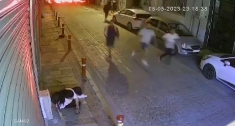 Genç kadını öldüresiye dövdü