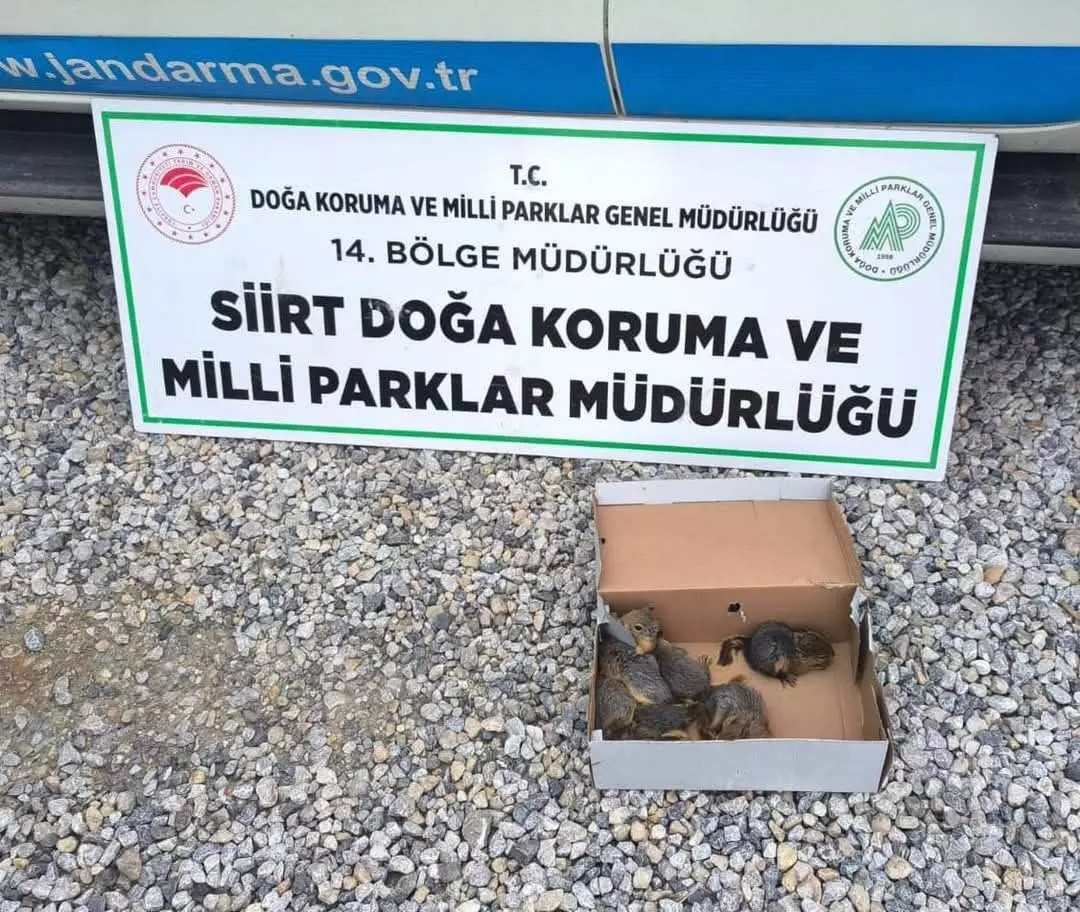 Cezayı duyunca avladığına pişman oldu
