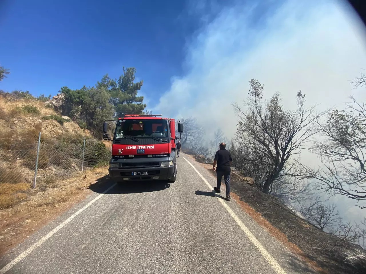 İzmir de orman yangını