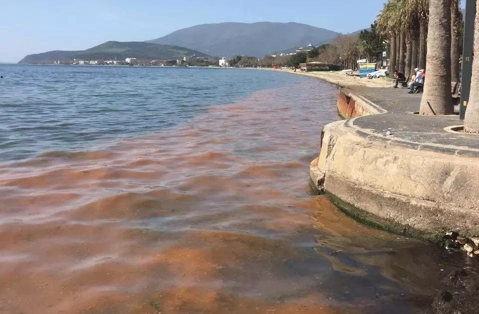 Marmara Denizi nde alarm!