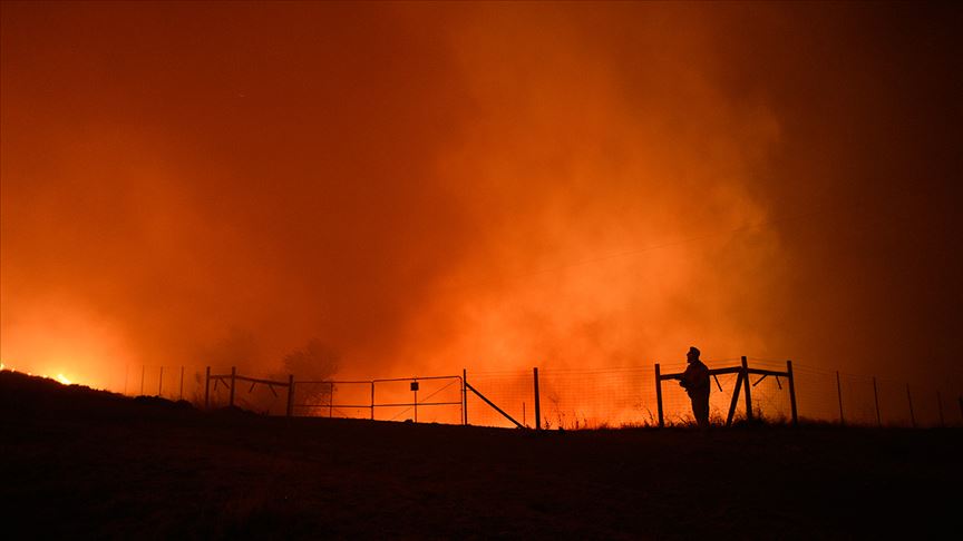 California da orman yangını