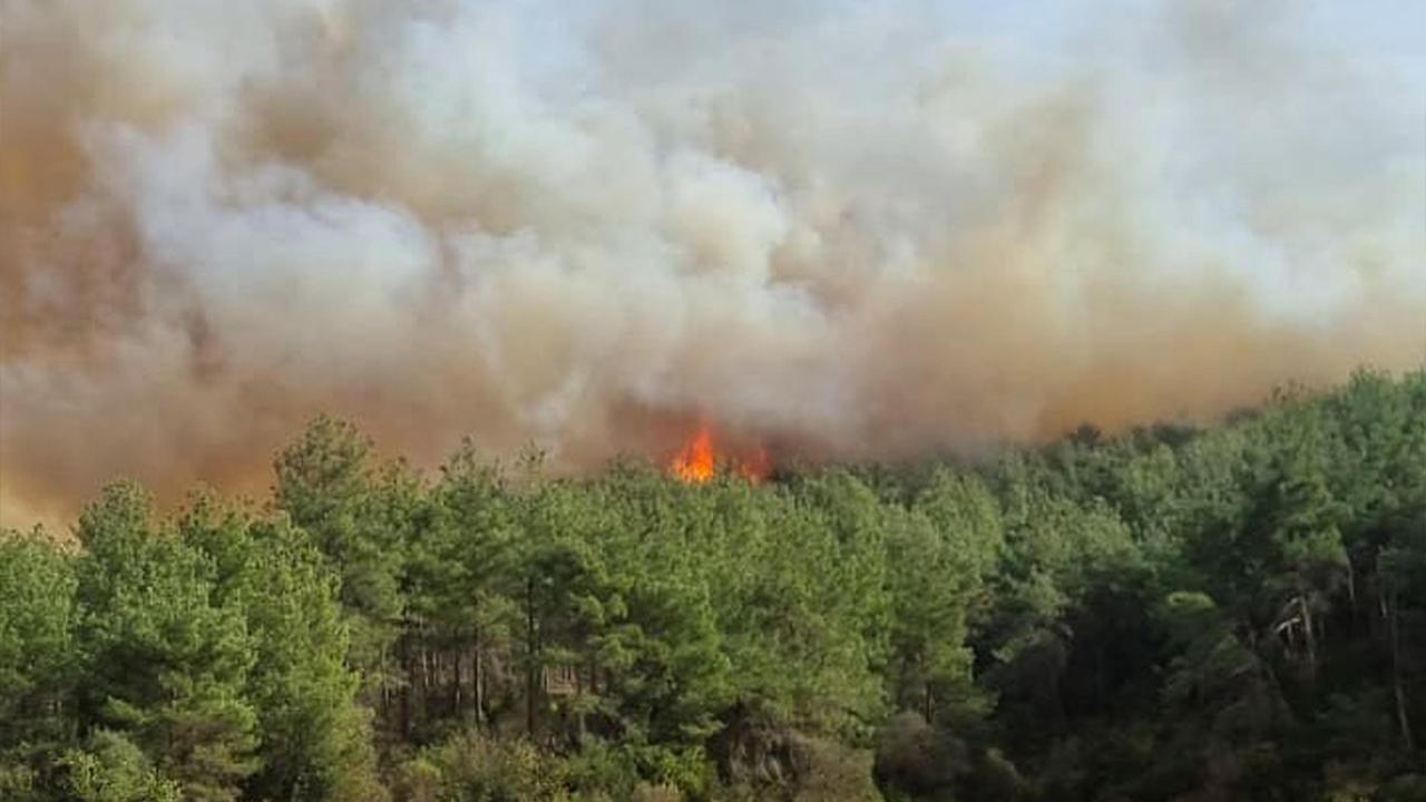 Muğla ve Çanakkale de orman yangını