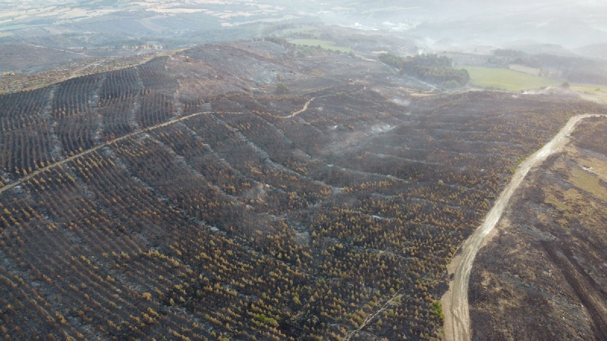 İşte Çanakkale deki yangının bilançosu