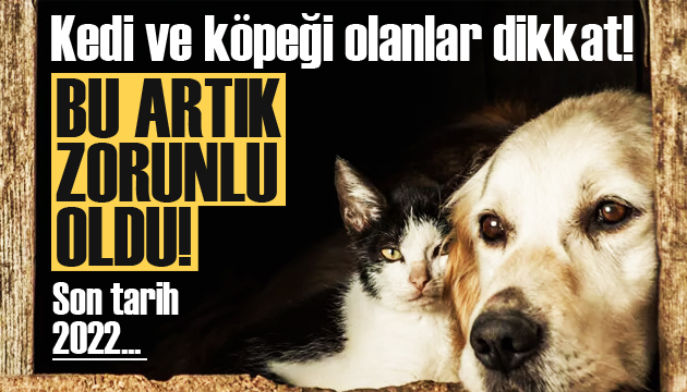 Kedi ve köpeği olanlar dikkat! Artık zorunlu