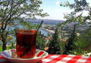 Gribe Karşı Doğal Kalkan